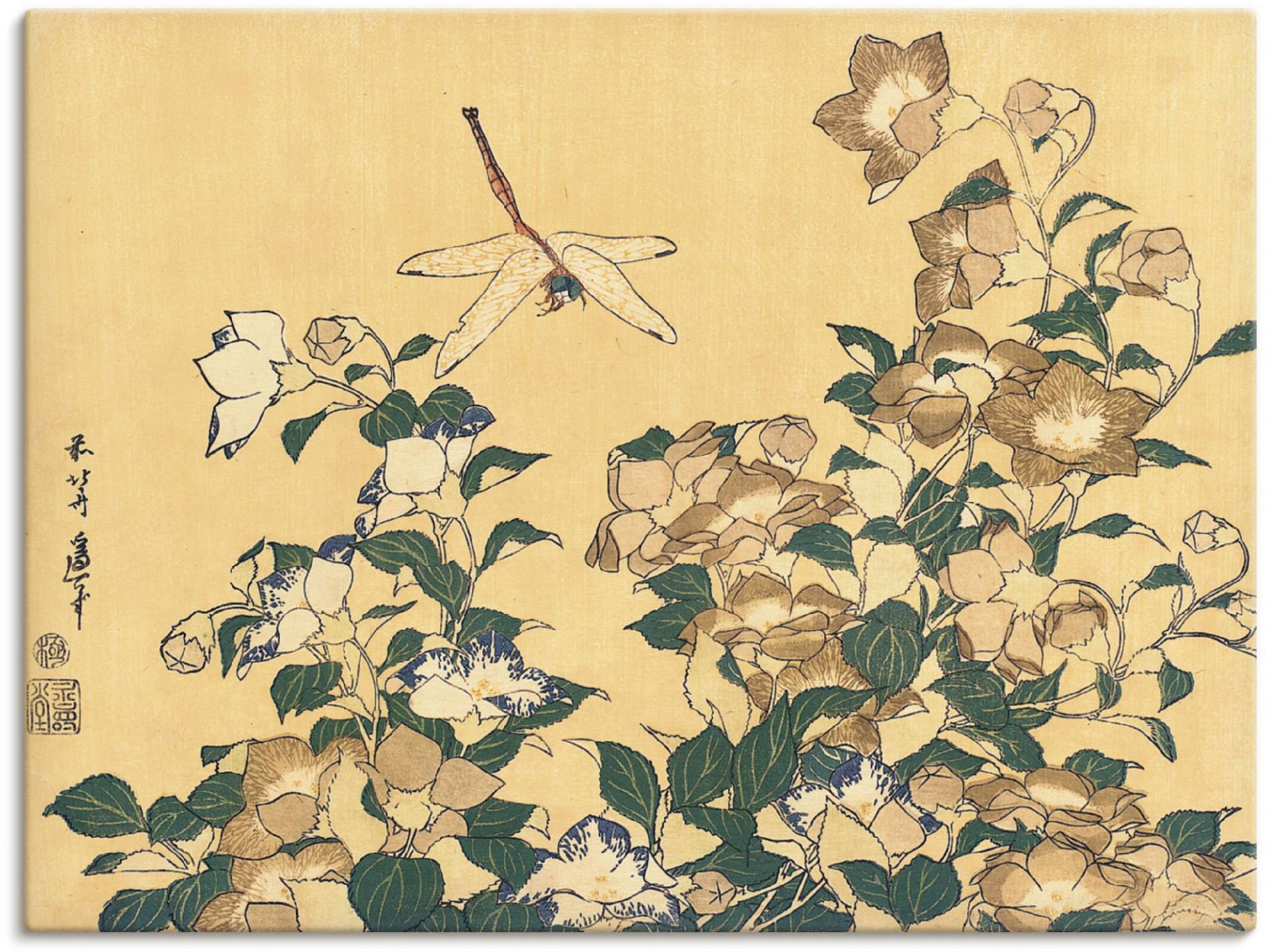 Artland Wandbild "Chinesische Glockenblume und Libelle", Blumen, (1 St.), als Leinwandbild, Poster in verschied. Größen von Artland