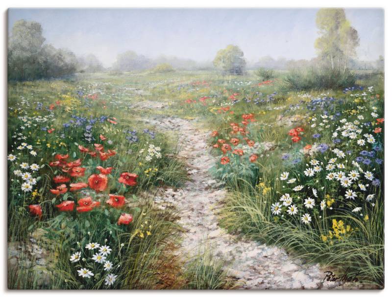 Artland Wandbild "Dichte der Natur" Blumenwiese 1 Stk. tlg. als Leinwandbild, Poster, Wandaufkleber in verschied. Größen von Artland