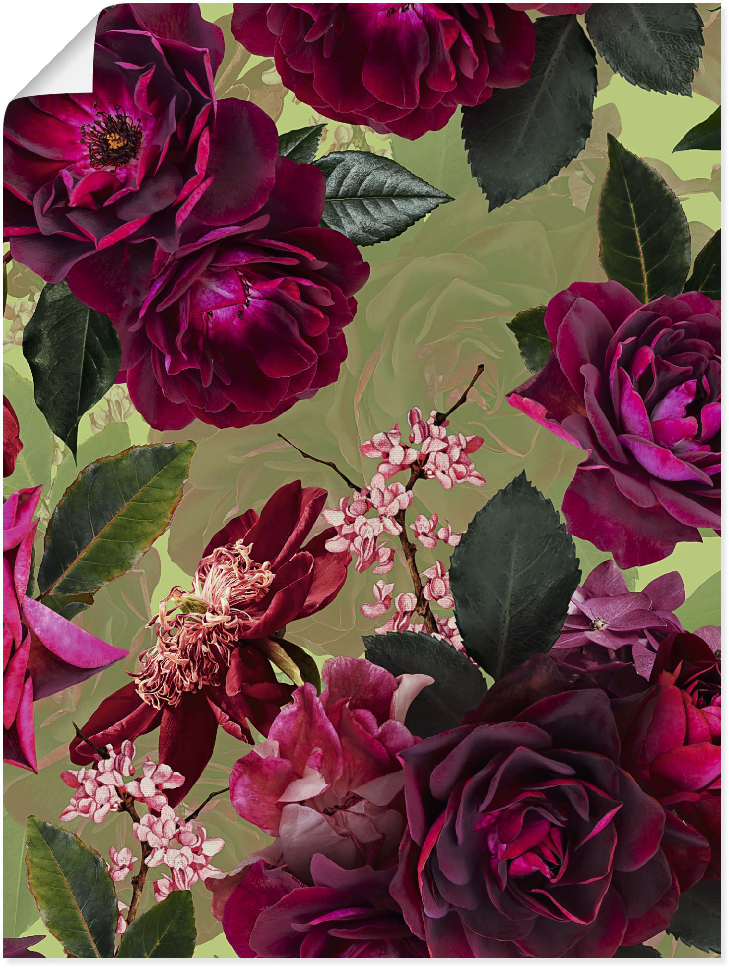 Artland Wandbild "Dunkle Rosen auf Grün", Blumenbilder, (1 St.), als Alubild, Outdoorbild, Leinwandbild, Poster, Wandaufkleber von Artland