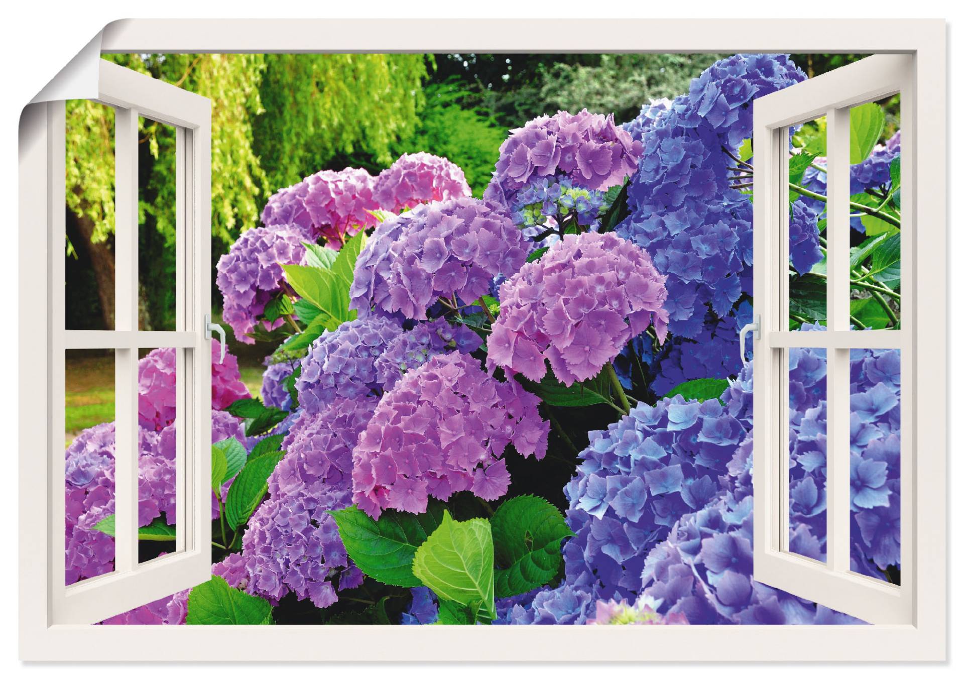Artland Wandbild "Fensterblick Hortensien im Garten" Blumen 1 Stk. tlg. als Leinwandbild, Poster in verschied. Größen von Artland