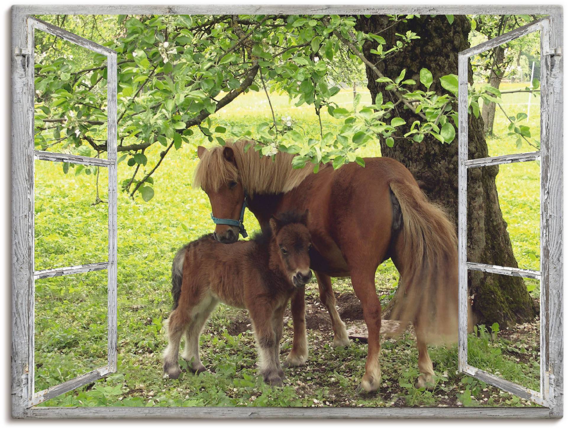 Artland Wandbild "Fensterblick - Pony mit Kind" Haustiere 1 Stk. tlg. als Leinwandbild, Poster, Wandaufkleber in verschied. Größen von Artland