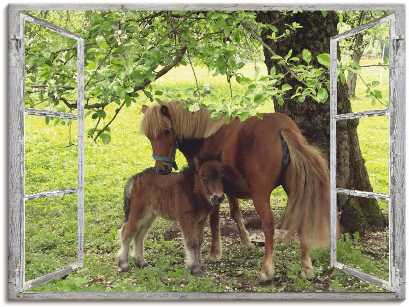 Artland Wandbild "Fensterblick - Pony mit Kind" Haustiere 1 Stk. tlg. als Leinwandbild, Poster, Wandaufkleber in verschied. Größen von Artland