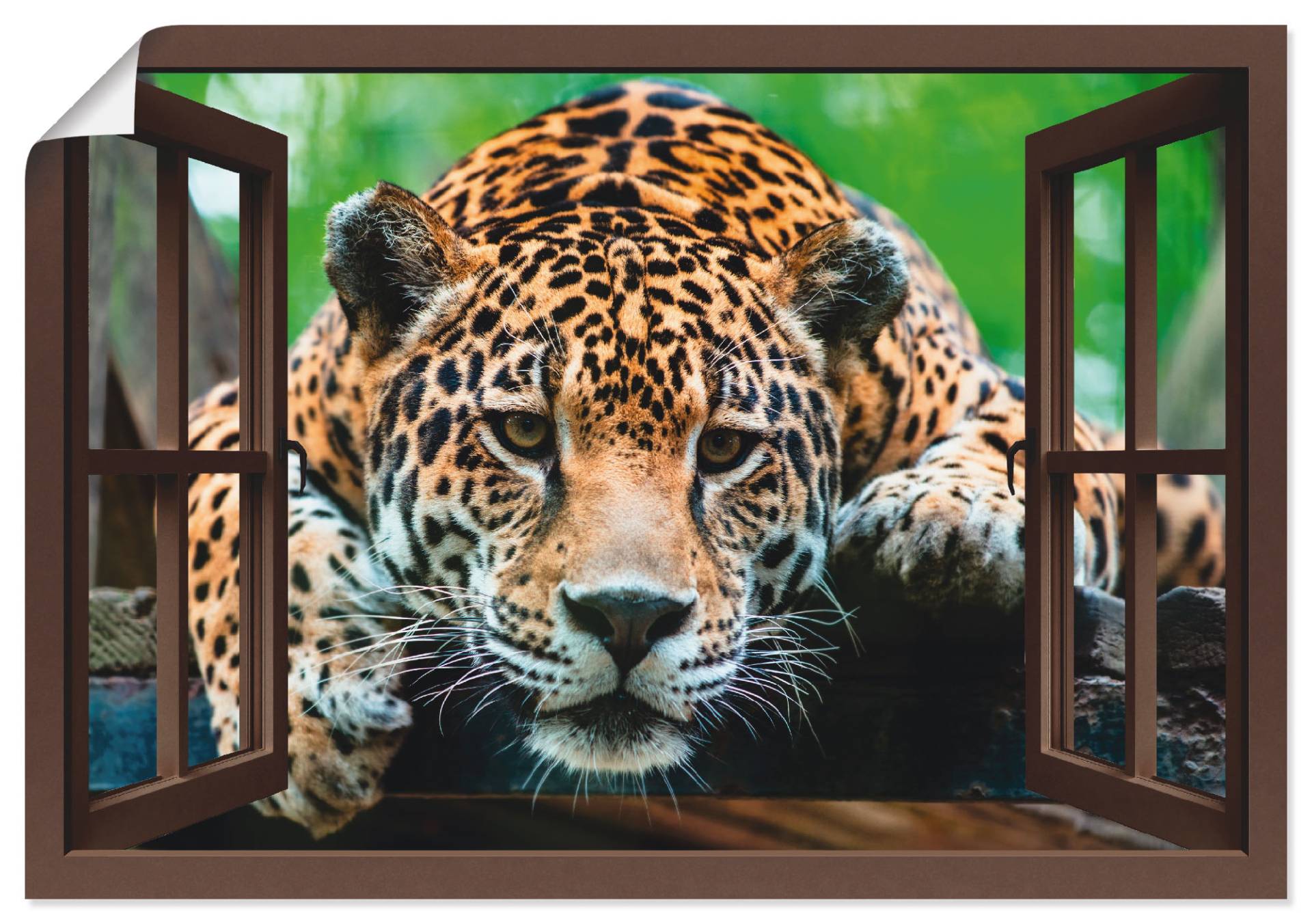 Artland Poster "Fensterblick - Südamerikanischer Jaguar", Wildtiere, (1 St.) von Artland