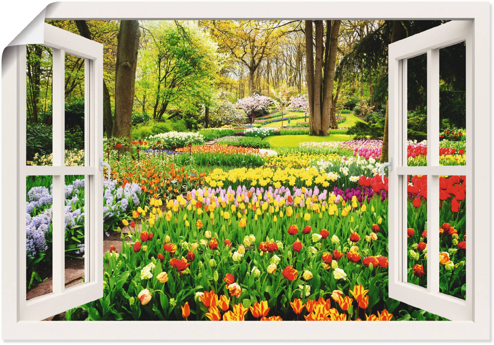 Artland Wandbild "Fensterblick Tulpen Garten Frühling", Fensterblick, (1 St.), als Alubild, Outdoorbild, Leinwandbild, Poster, Wandaufkleber von Artland