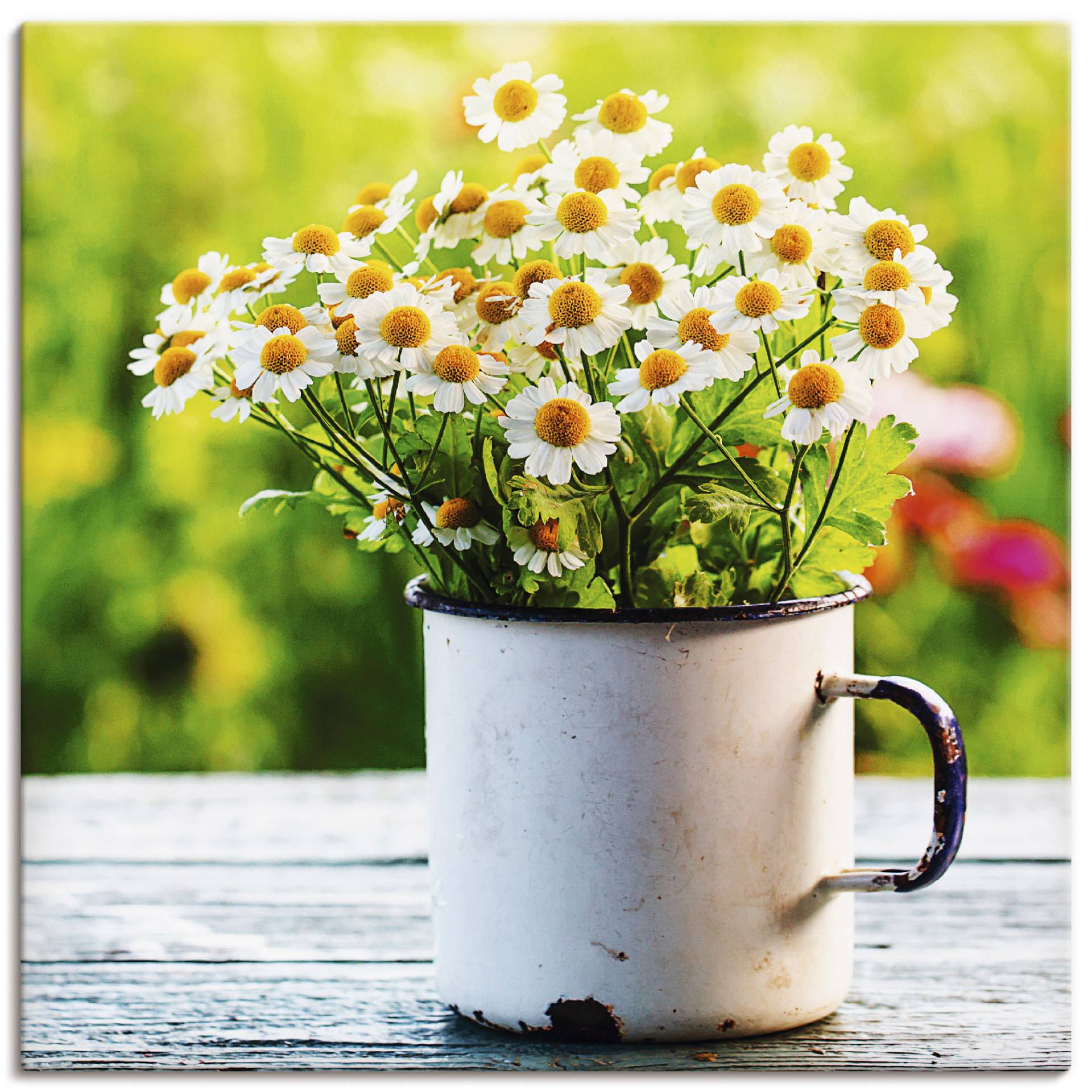 Artland Wandbild "Frühlingsgarten mit Gänseblümchen", Blumen, (1 St.), als Leinwandbild, Poster, Wandaufkleber in verschied. Größen von Artland