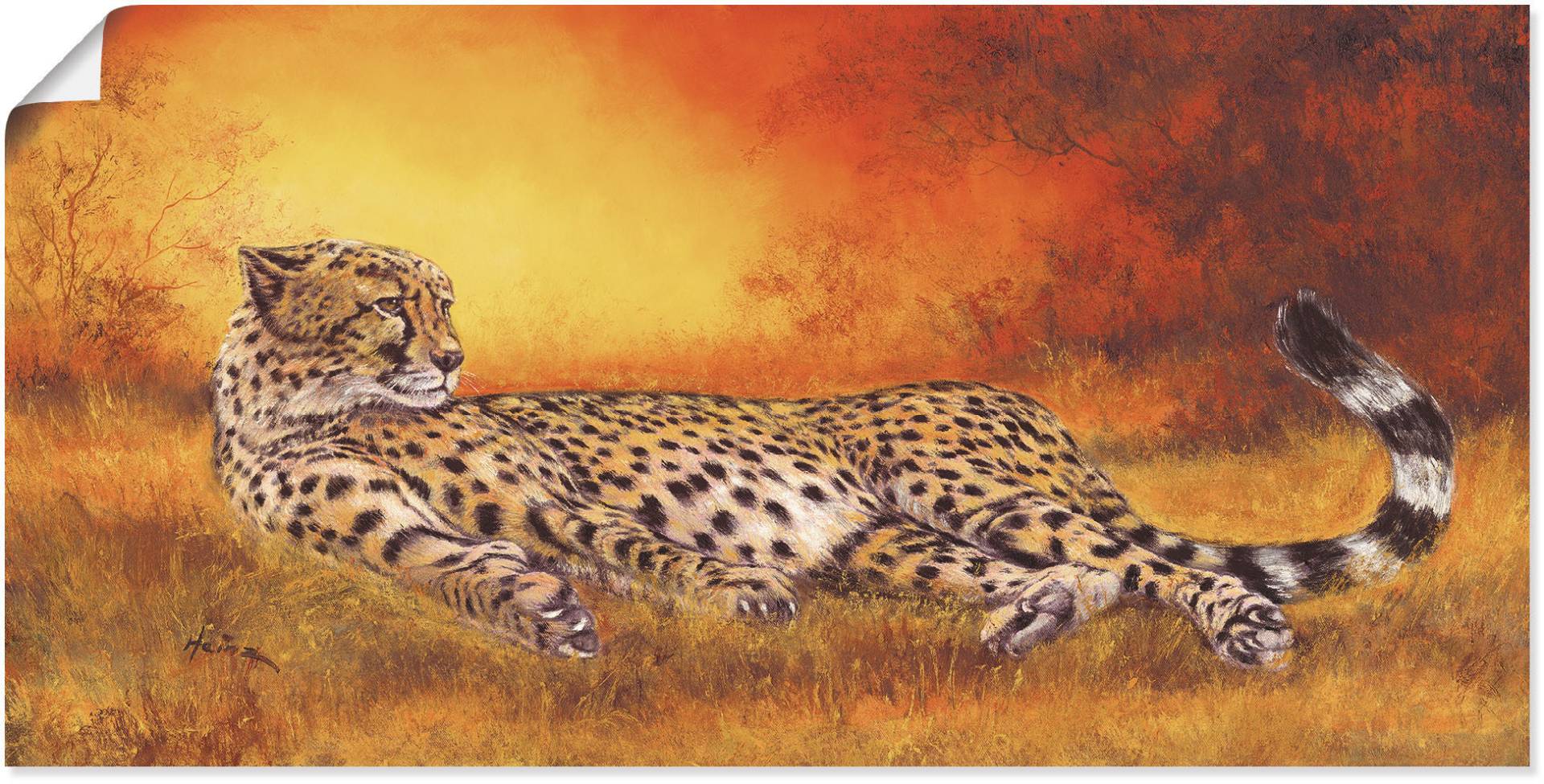 Artland Wandbild "Gepard", Geparden Bilder, (1 St.) von Artland