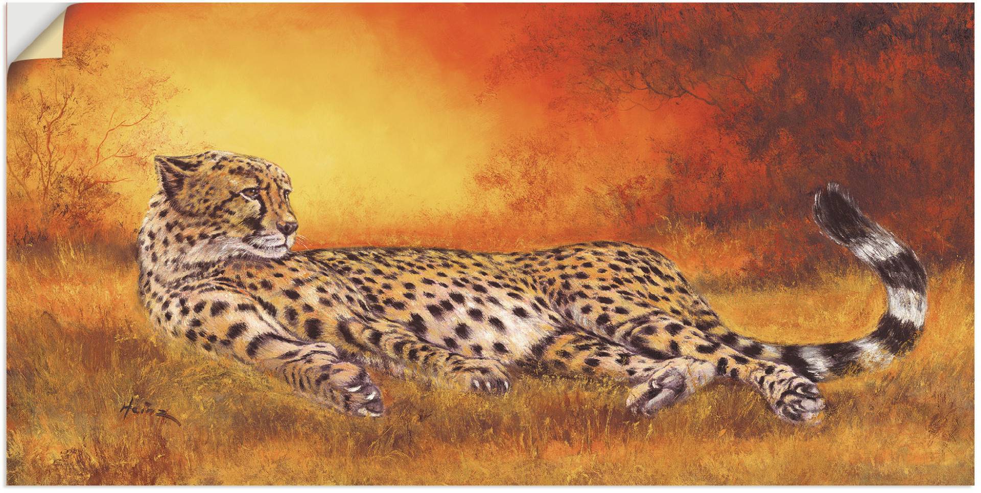 Artland Wandbild "Gepard", Geparden Bilder, (1 St.) von Artland