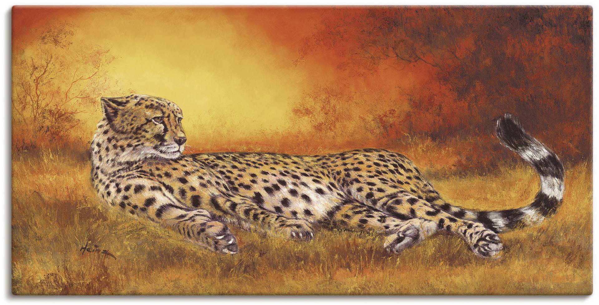 Artland Wandbild "Gepard" Geparden Bilder 1 Stk. tlg. als Alubild, Outdoorbild, Leinwandbild, Poster, Wandaufkleber von Artland