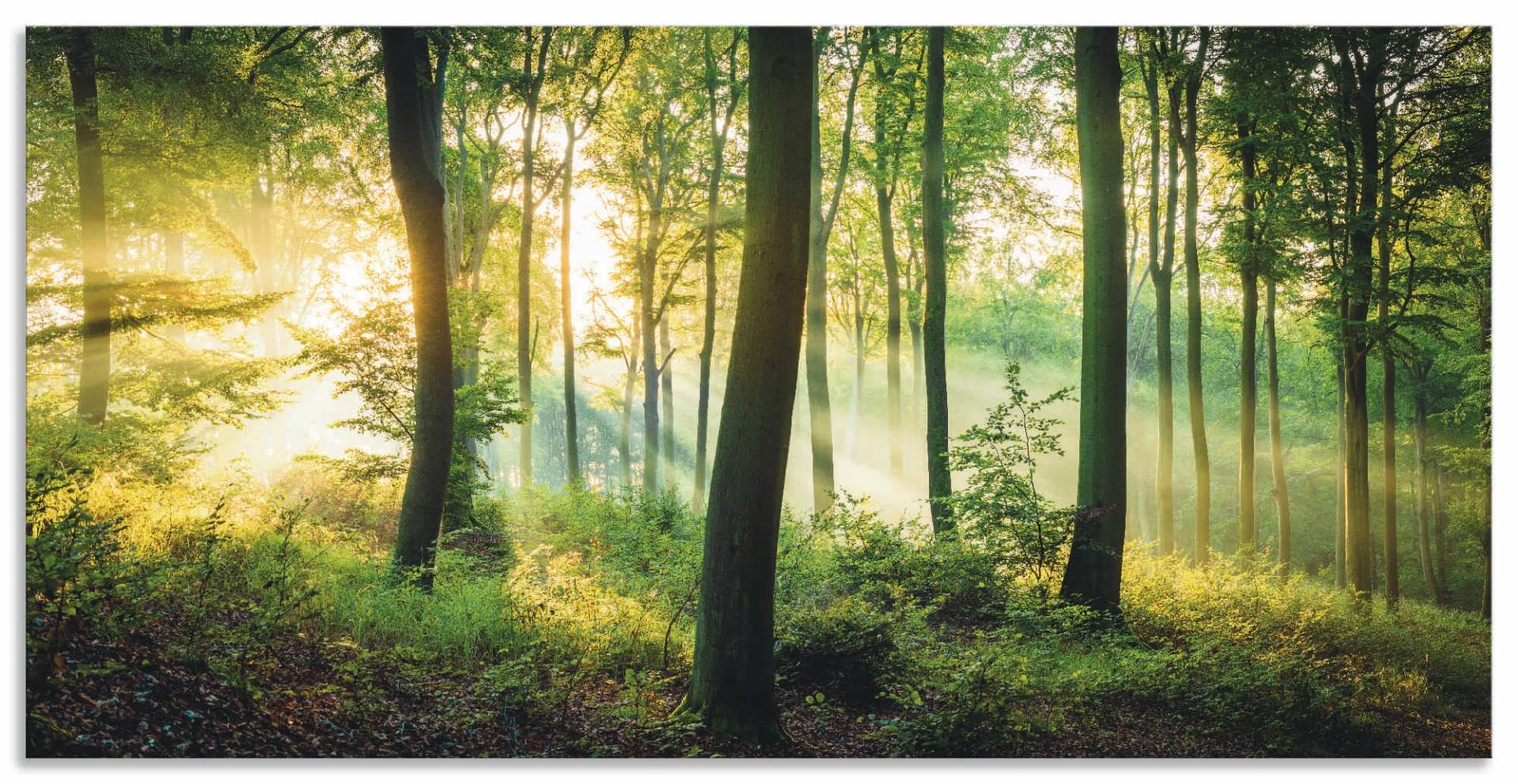 Artland Wandbild "Herbst im Wald II" Waldbilder 1 Stk. tlg. als Alubild, Outdoorbild, Leinwandbild, Poster, Wandaufkleber von Artland