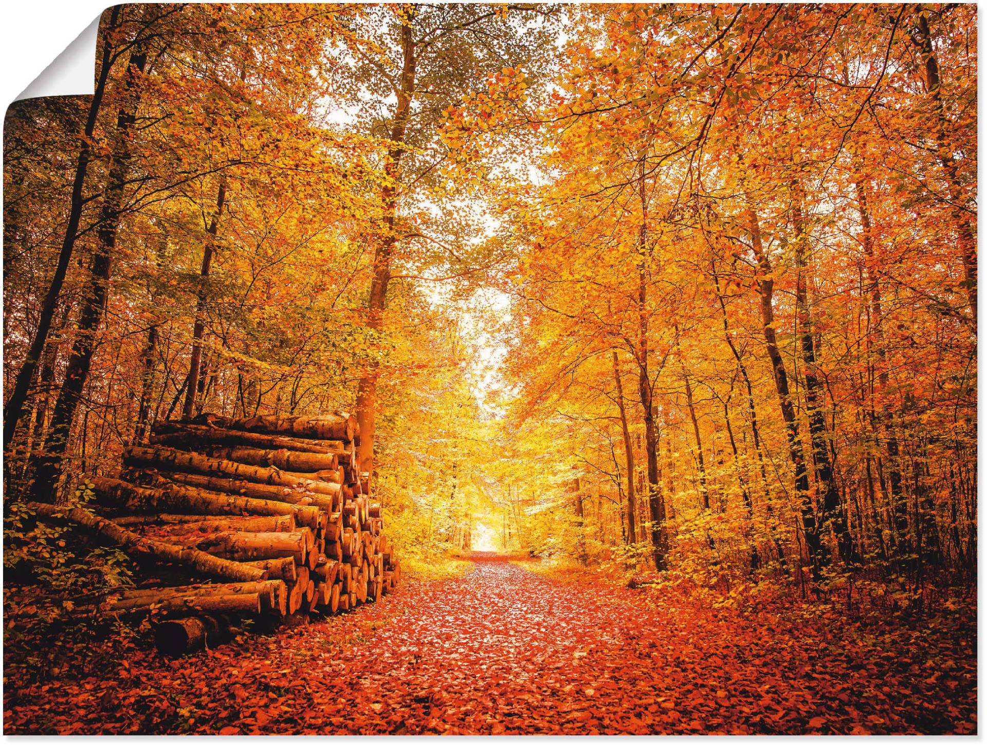 Artland Poster "Herbstlandschaft", Vier Jahreszeiten, (1 St.) von Artland