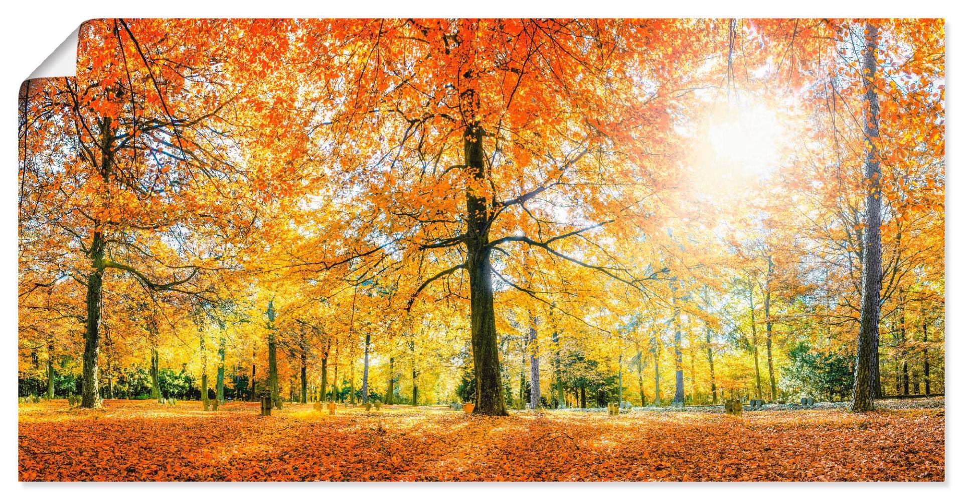 Artland Poster "Herbstwald Panorama", Wald, (1 St.) von Artland