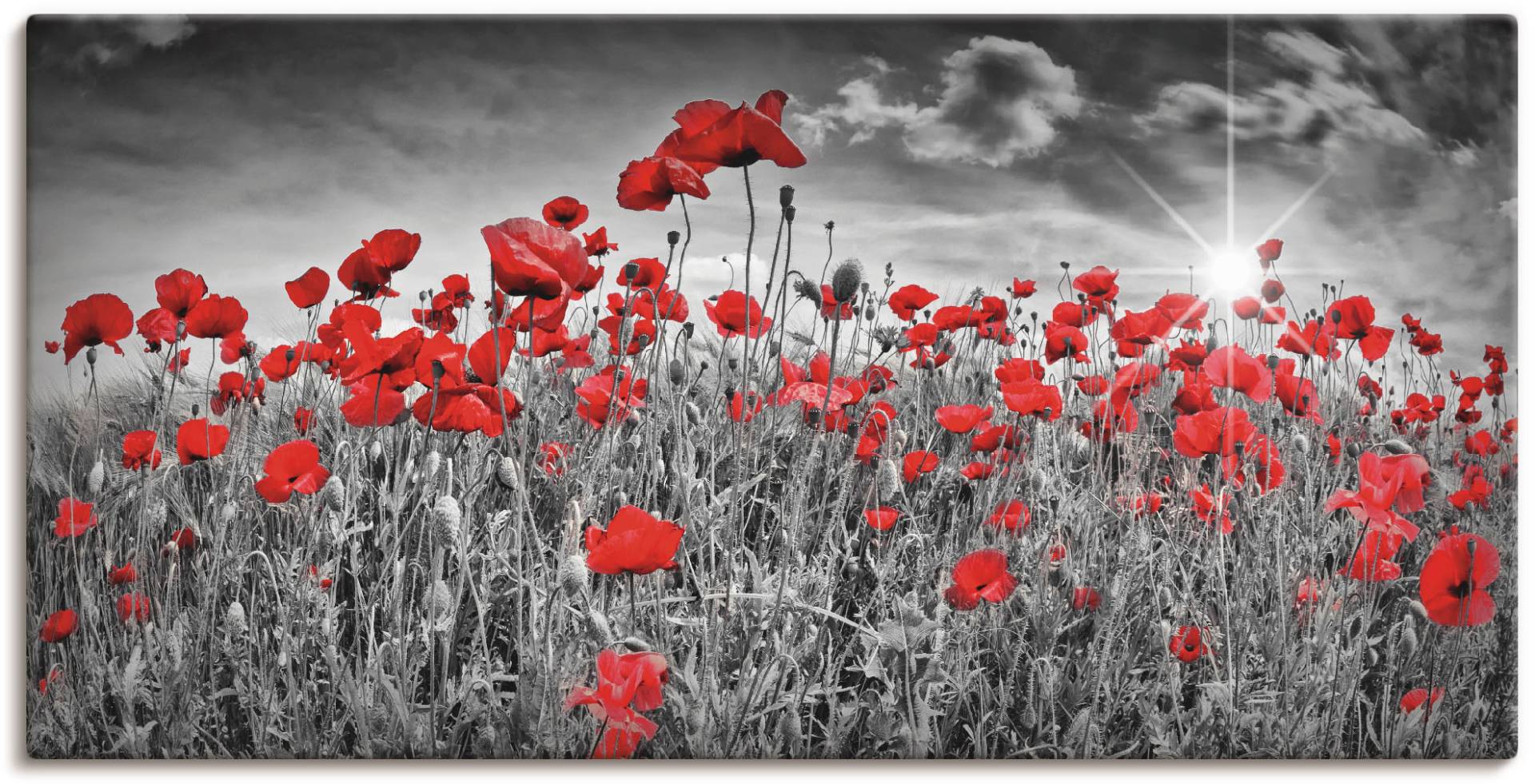 Artland Wandbild "Idyllisches Mohnblumenfeld mit Sonne" 1 Stk. tlg. als Alubild, Outdoorbild, Leinwandbild, Poster, Wandaufkleber von Artland