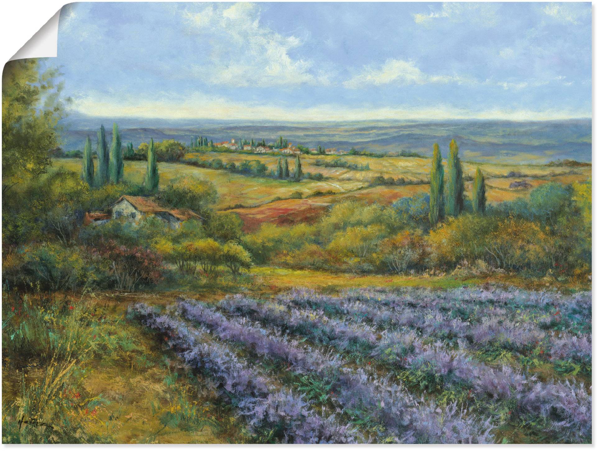 Artland Wandbild "Lavendelfelder in der Provence", Europa, (1 St.), als Leinwandbild, Poster, Wandaufkleber in verschied. Größen von Artland