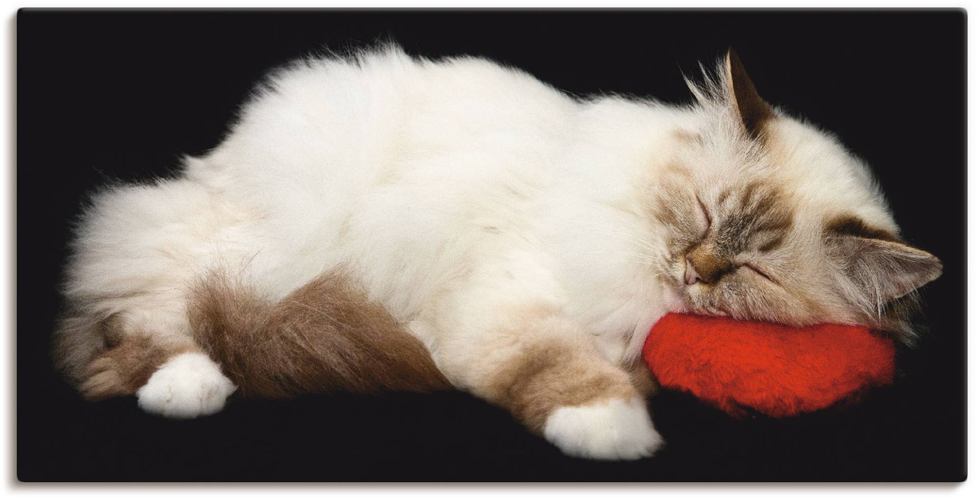 Artland Wandbild "Müde Katze" Haustiere 1 Stk. tlg. als Leinwandbild, Poster, Wandaufkleber in verschied. Größen von Artland