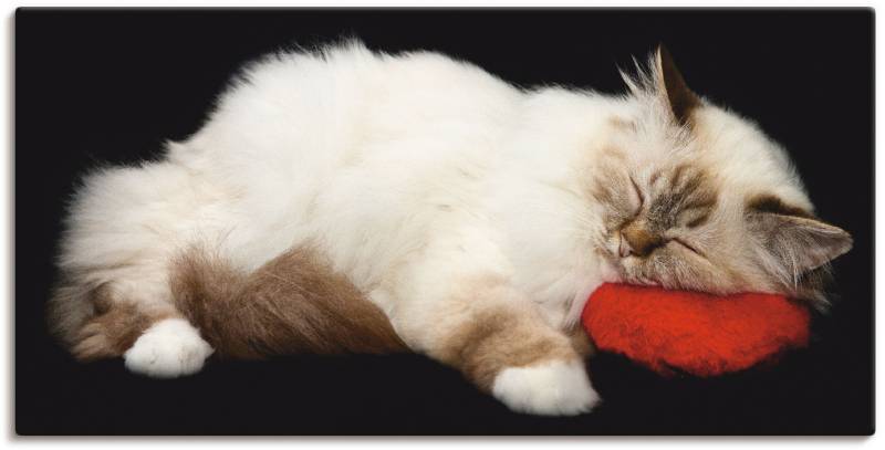 Artland Wandbild "Müde Katze" Haustiere 1 Stk. tlg. als Leinwandbild, Poster, Wandaufkleber in verschied. Größen von Artland