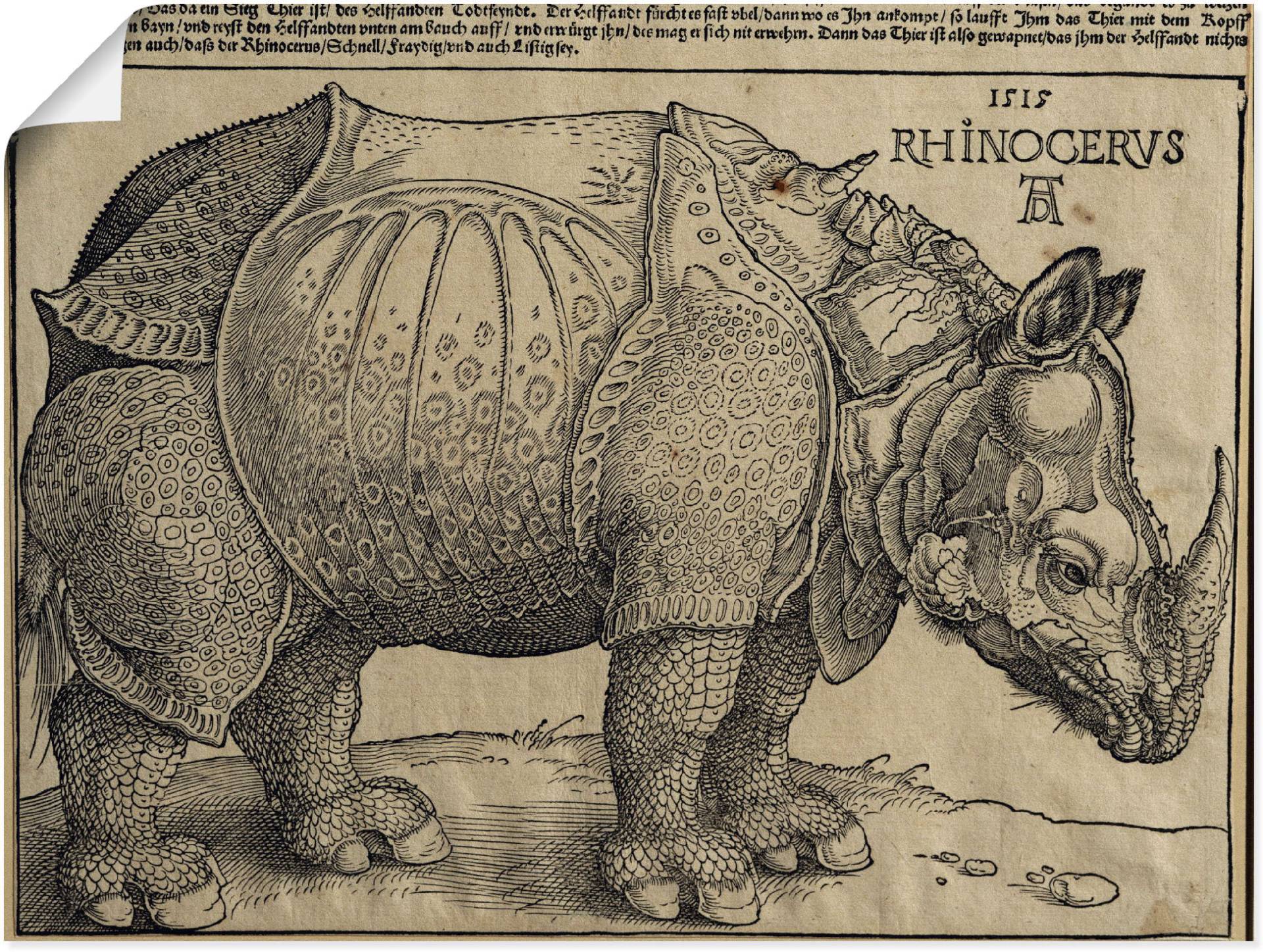 Artland Kunstdruck "Nashorn. 1515. Für König Emanuel.", Wildtiere, (1 St.) von Artland