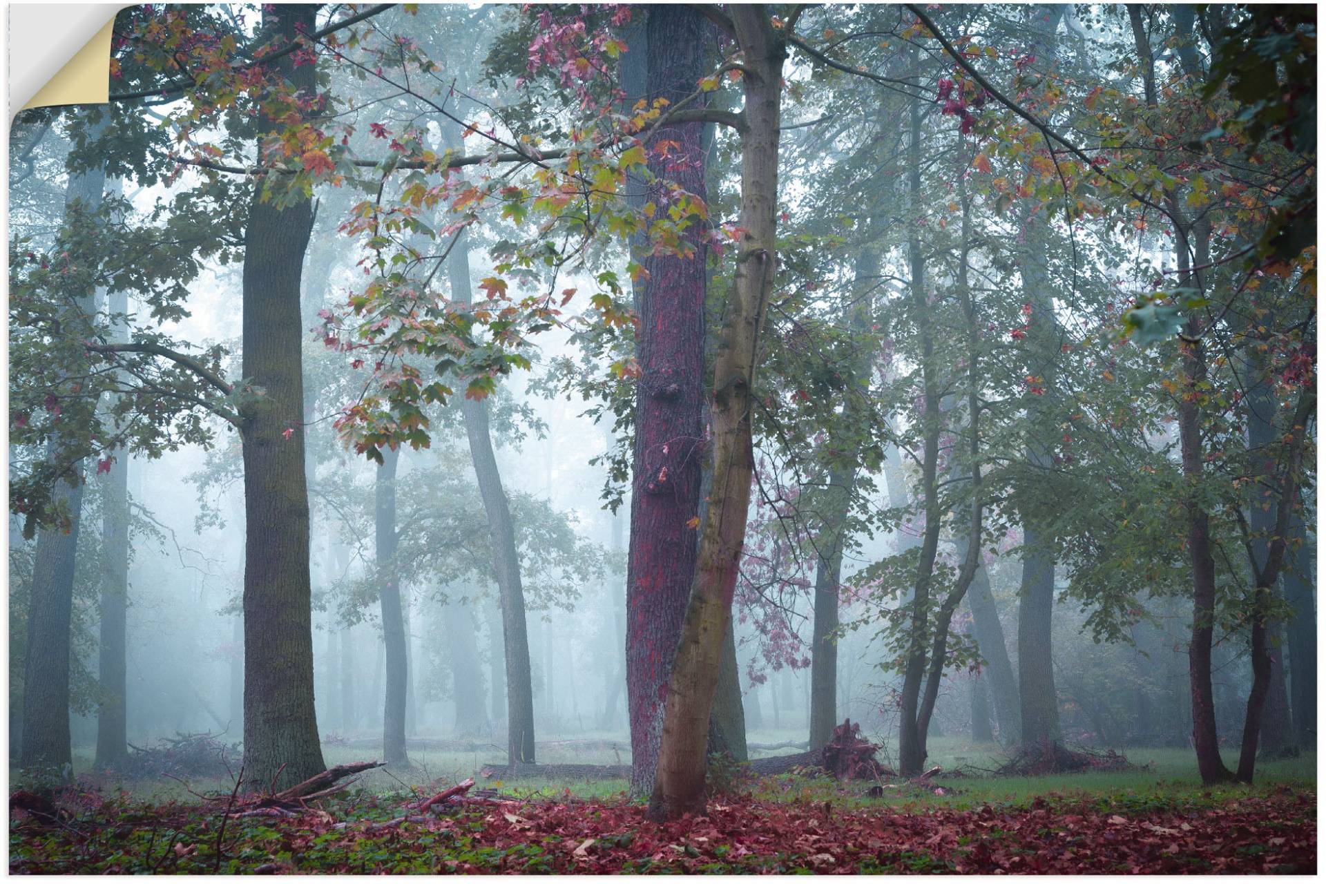 Artland Wandbild "Nebel im Wald", Waldbilder, (1 St.), als Alubild, Outdoorbild, Poster, Wandaufkleber in verschied. Größen von Artland