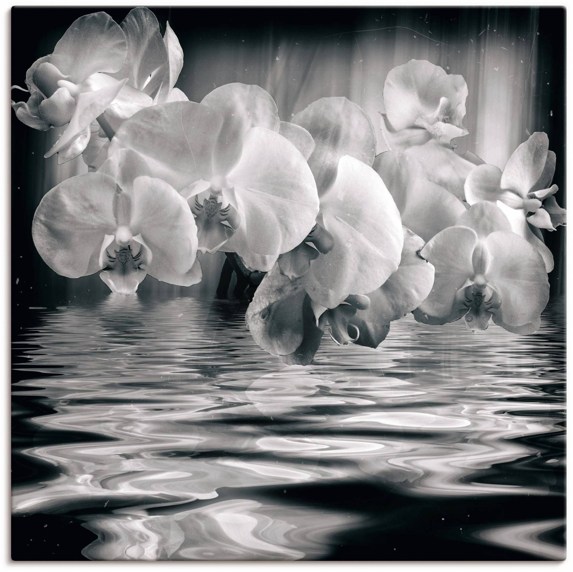 Artland Wandbild "Orchideen - monochrom", Spa Bilder, (1 St.) von Artland