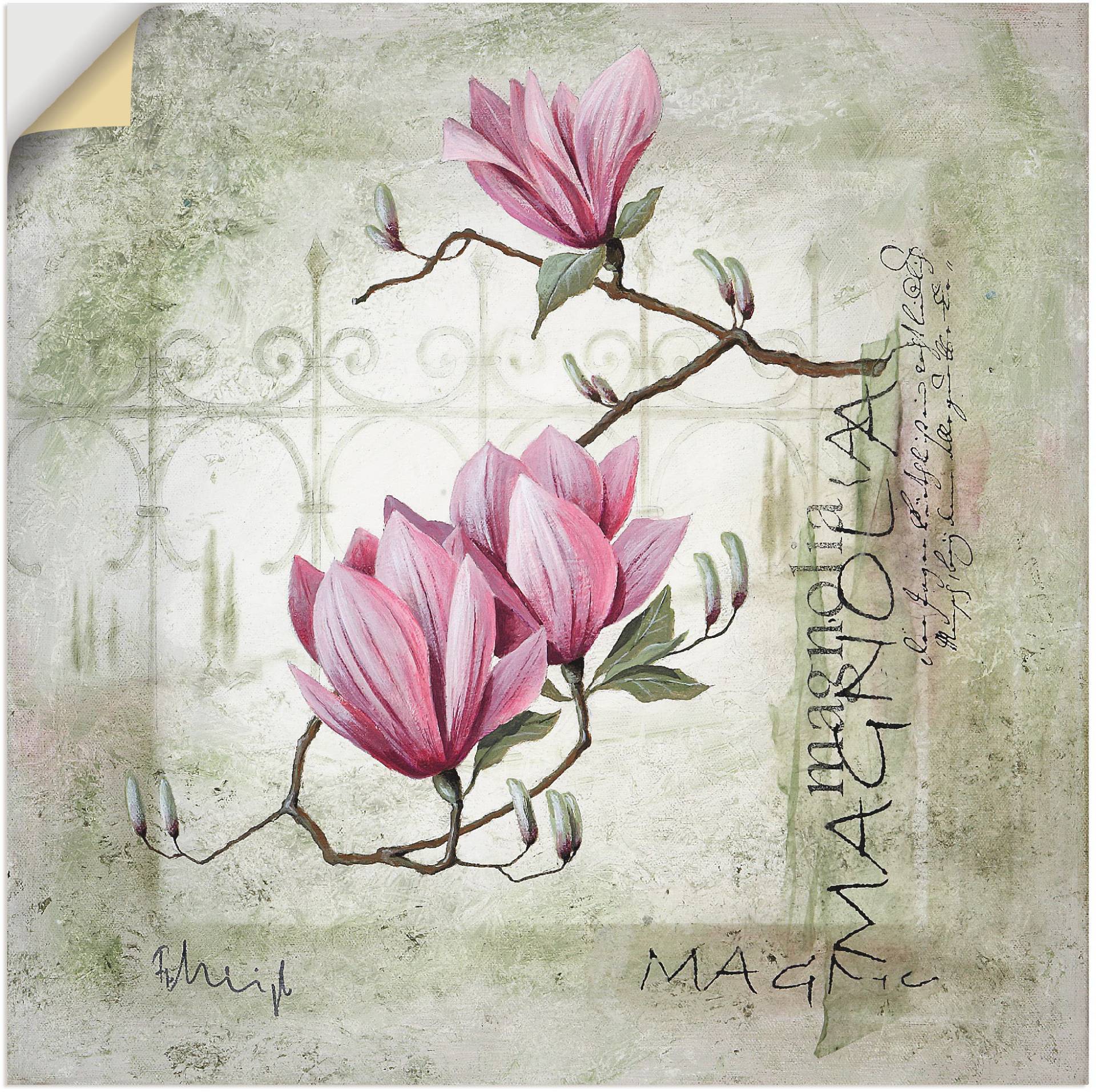 Artland Wandbild "Pinke Magnolie", Blumen, (1 St.), als Leinwandbild, Poster, Wandaufkleber in verschied. Größen von Artland