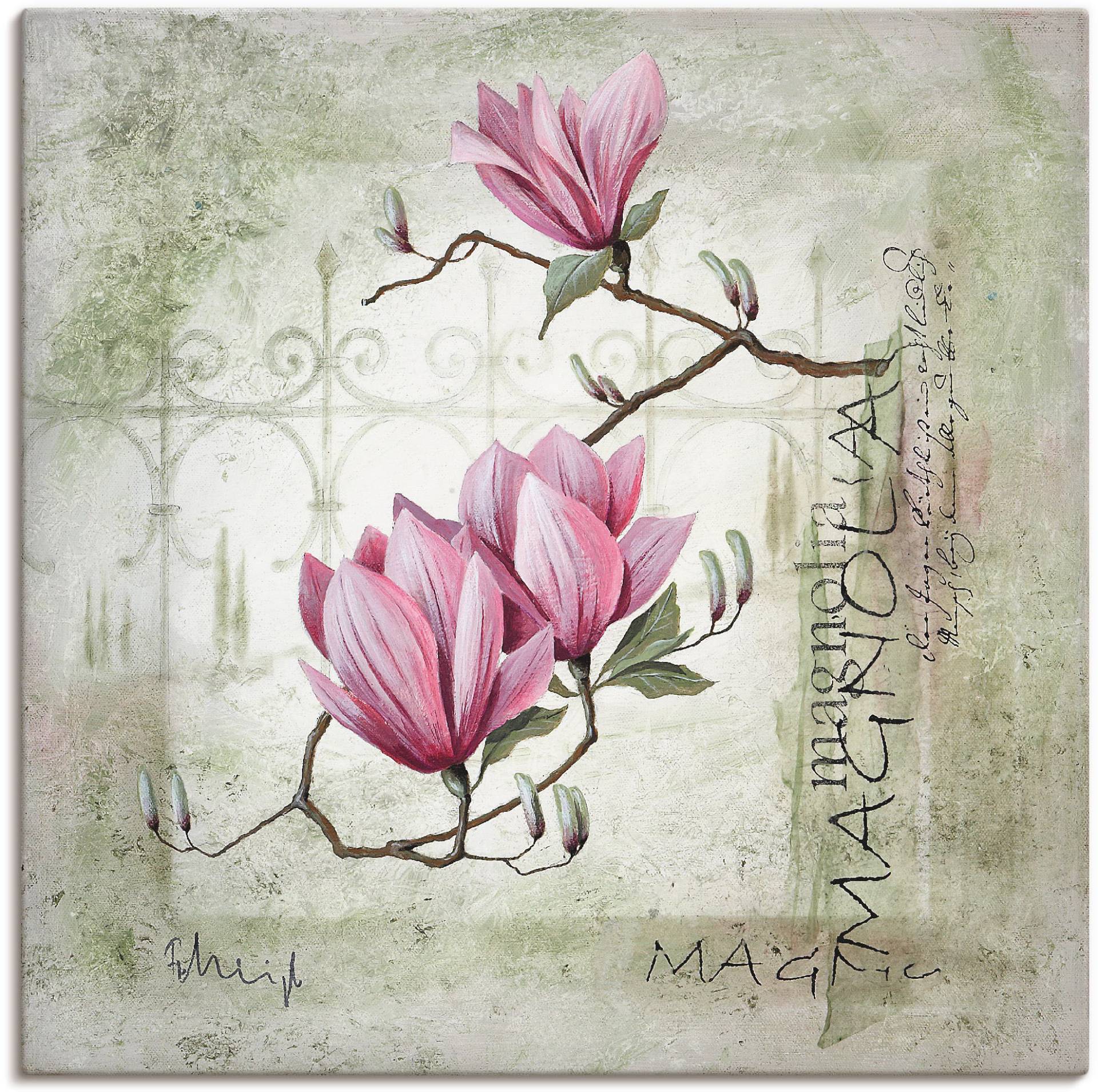 Artland Wandbild "Pinke Magnolie" Blumen 1 Stk. tlg. als Leinwandbild, Poster, Wandaufkleber in verschied. Größen von Artland