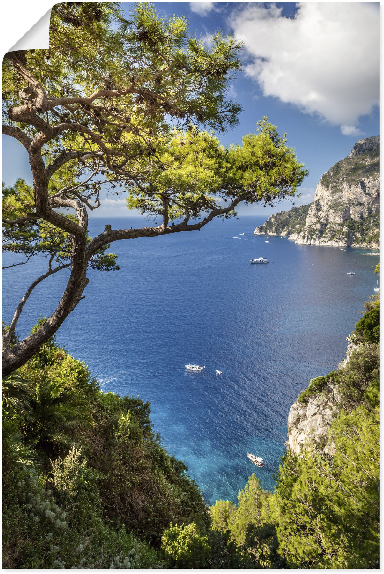 Artland Wandbild "Punta de Masullo, Insel Capri, Italien", Meer Bilder, (1 St.), als Alubild, Outdoorbild, Leinwandbild, Poster, Wandaufkleber von Artland