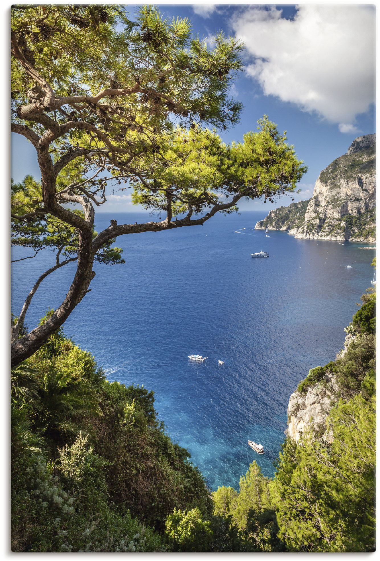 Artland Wandbild "Punta de Masullo, Insel Capri, Italien", Meer Bilder, (1 St.) von Artland