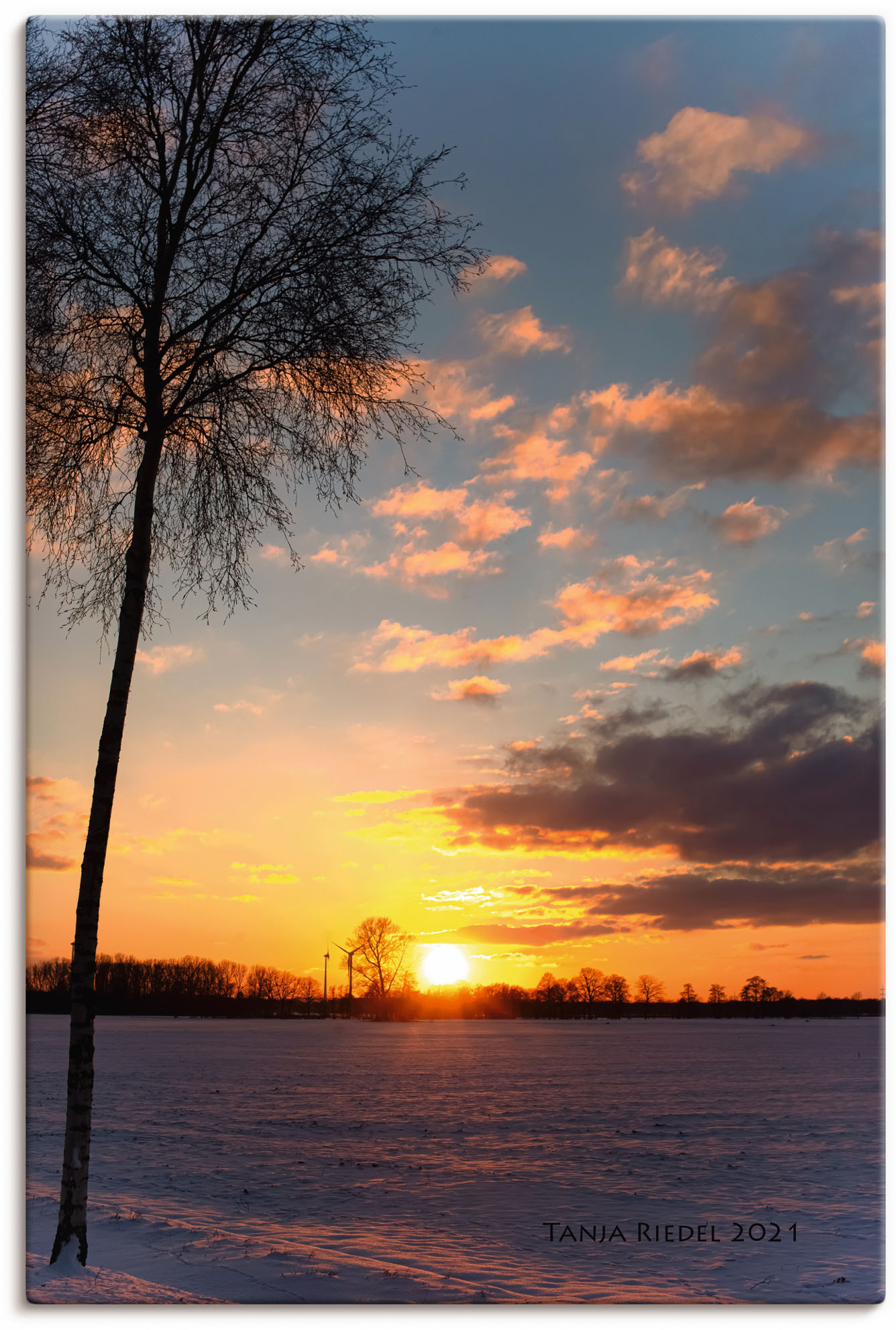 Artland Wandbild "Sehnsucht Momente der Natur", Bilder vom Sonnenuntergang & -aufgang, (1 St.), in vielen Größen & Produktarten, Alubild, Leinwandbild, Poster, Wandaufkleber von Artland