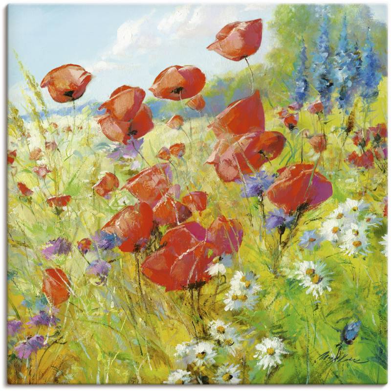 Artland Leinwandbild "Sommerwiese mit Mohnblumen" Blumenwiese 1 Stk. tlg. als Alubild, Outdoorbild, Leinwandbild, Poster in verschied. Größen von Artland