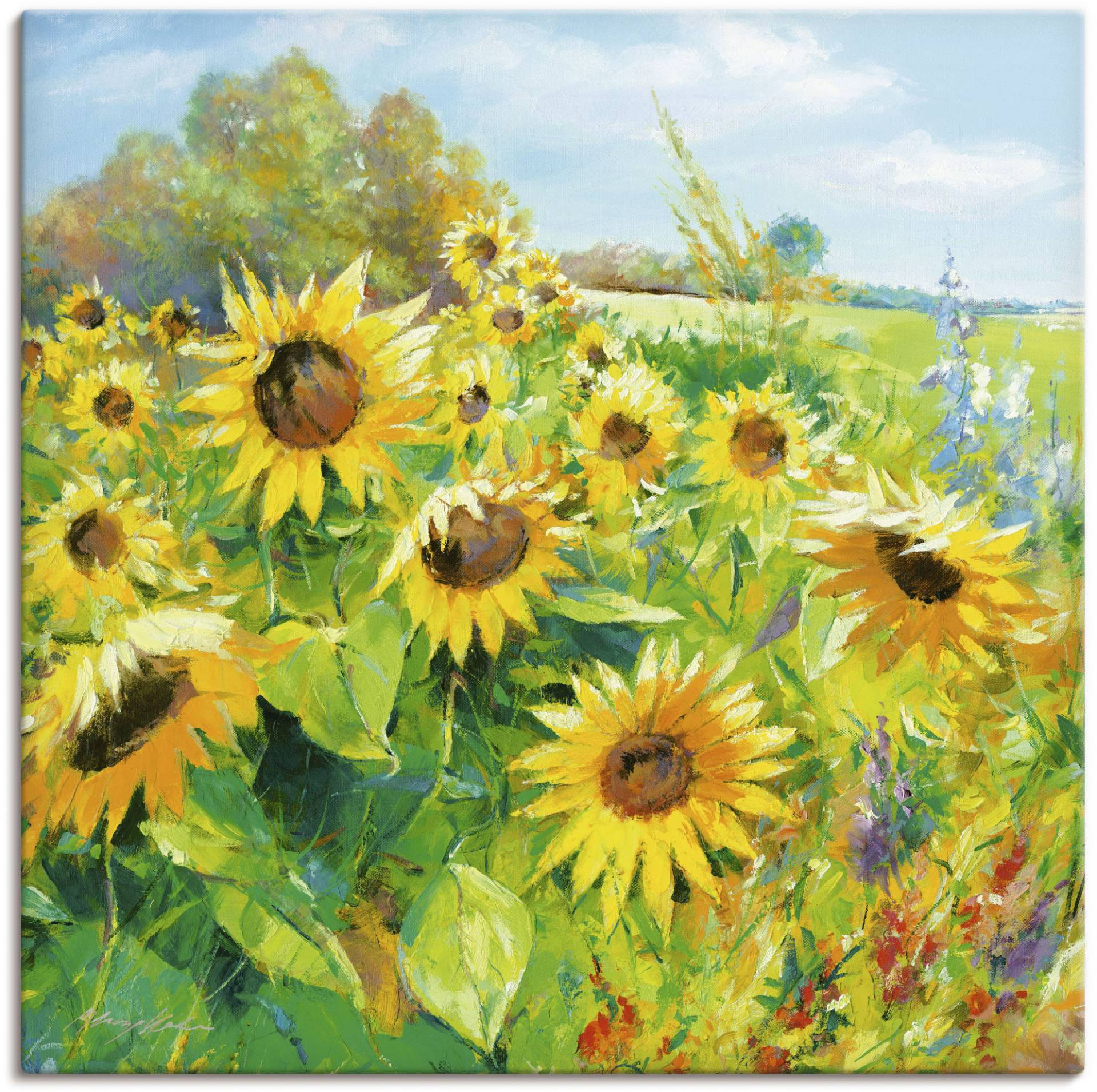 Artland Wandbild "Sommerwiese mit Sonnenblumen", Blumenwiese, (1 St.), als Alubild, Outdoorbild, Leinwandbild, Poster, Wandaufkleber von Artland