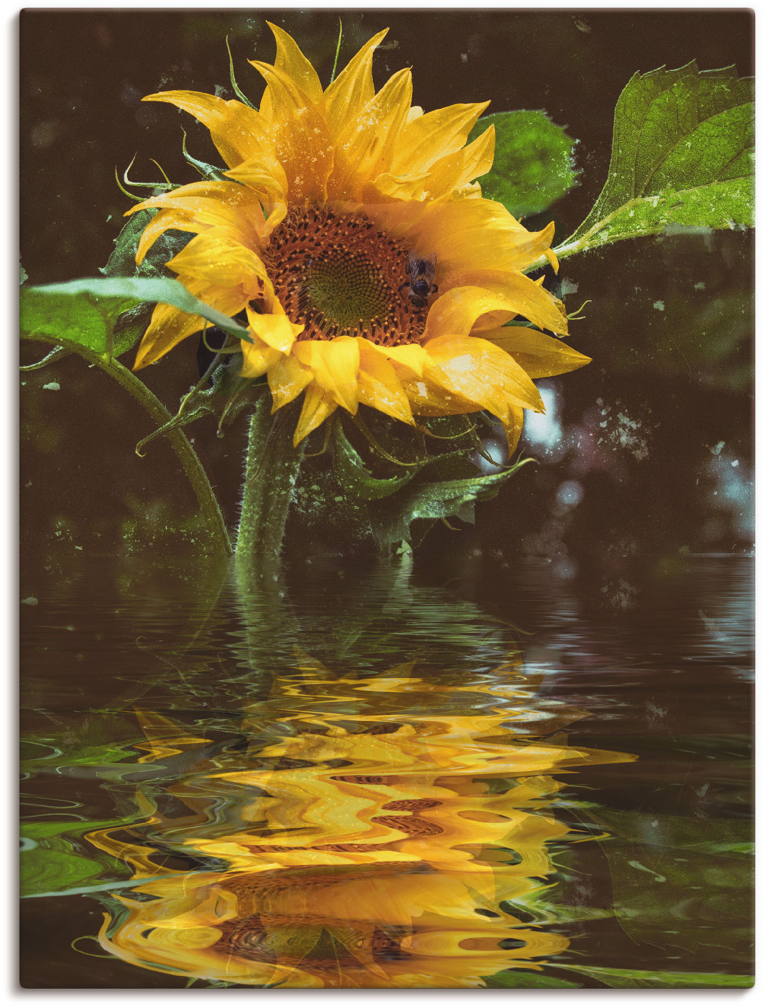 Artland Wandbild "Sonnenblume", Blumen, (1 St.), als Alubild, Outdoorbild, Leinwandbild, Poster, Wandaufkleber von Artland