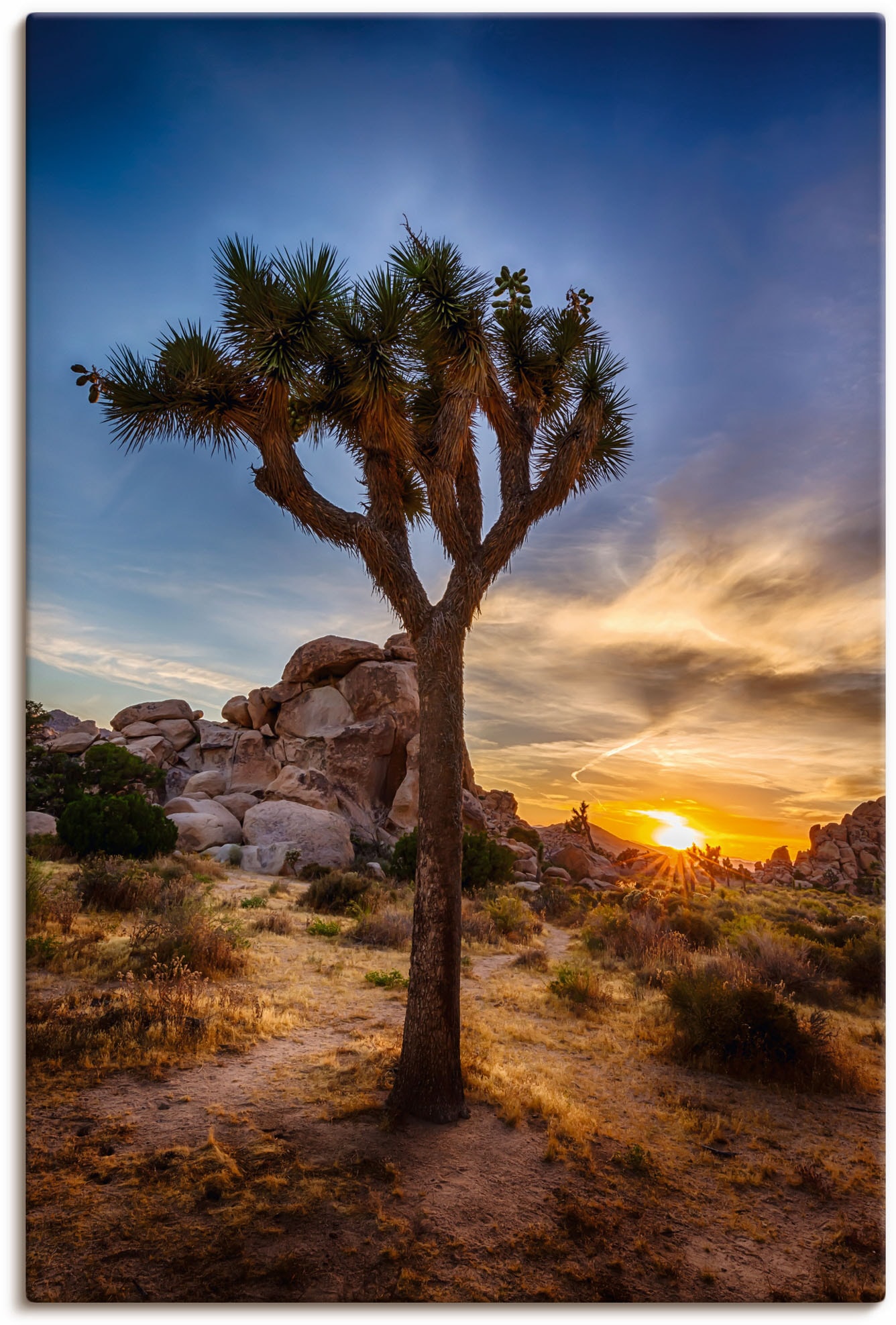 Artland Wandbild "Sonnenuntergang Joshua Tree NationalPark" (1 Stück), in vielen Größen & Produktarten - Alubild / Outdoorbild für den Außenbereich, Leinwandbild, Poster, Wandaufkleber / Wandtattoo auch für Badezimmer geeignet von Artland