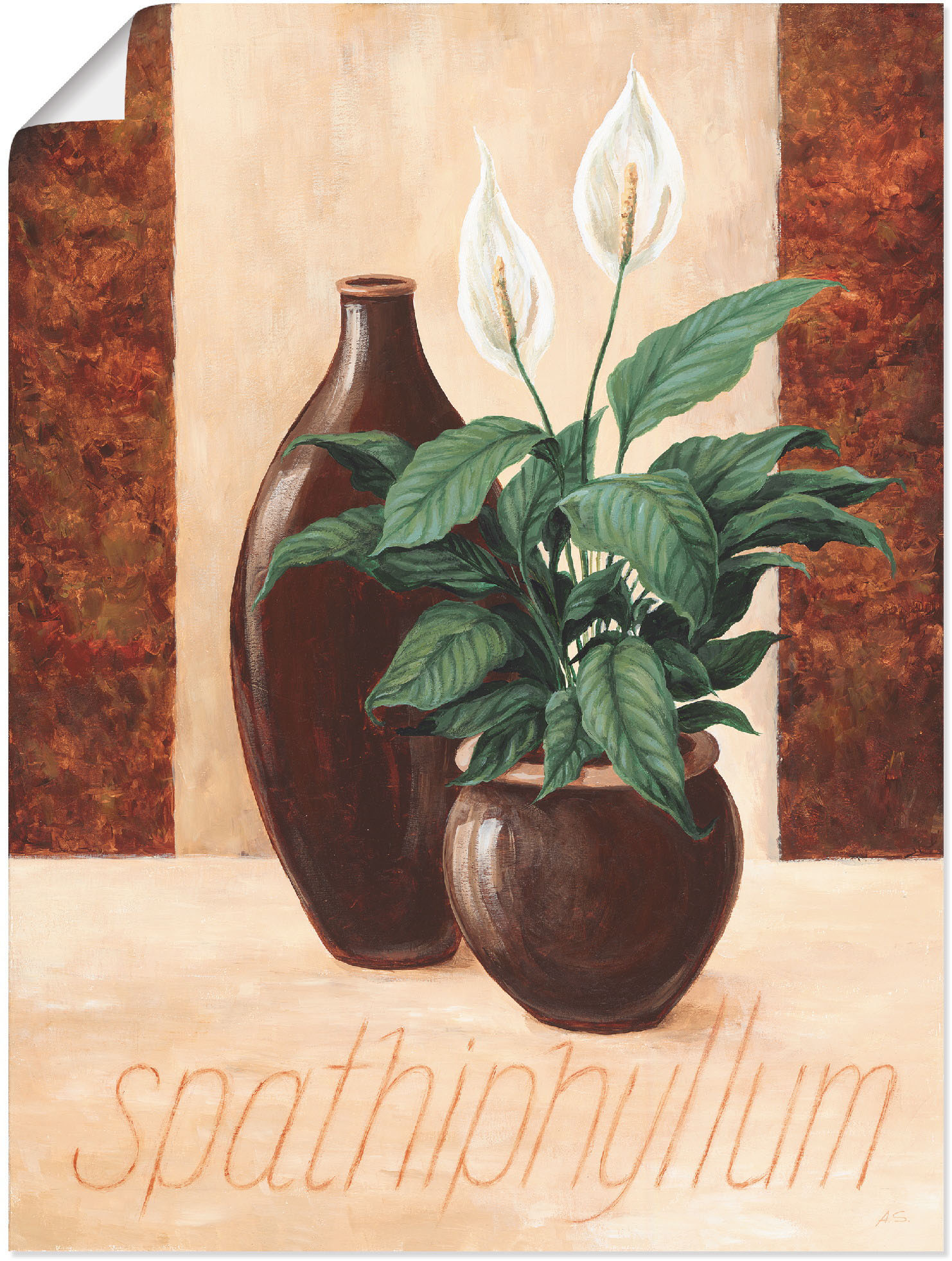 Artland Poster "Spathiphyllum - Einblatt", Pflanzenbilder, (1 St.) von Artland