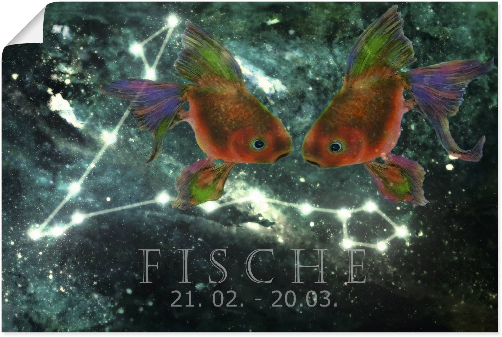 Artland Wandbild "Sternzeichen - Fische", Bilder von Sternzeichen, (1 St.) von Artland