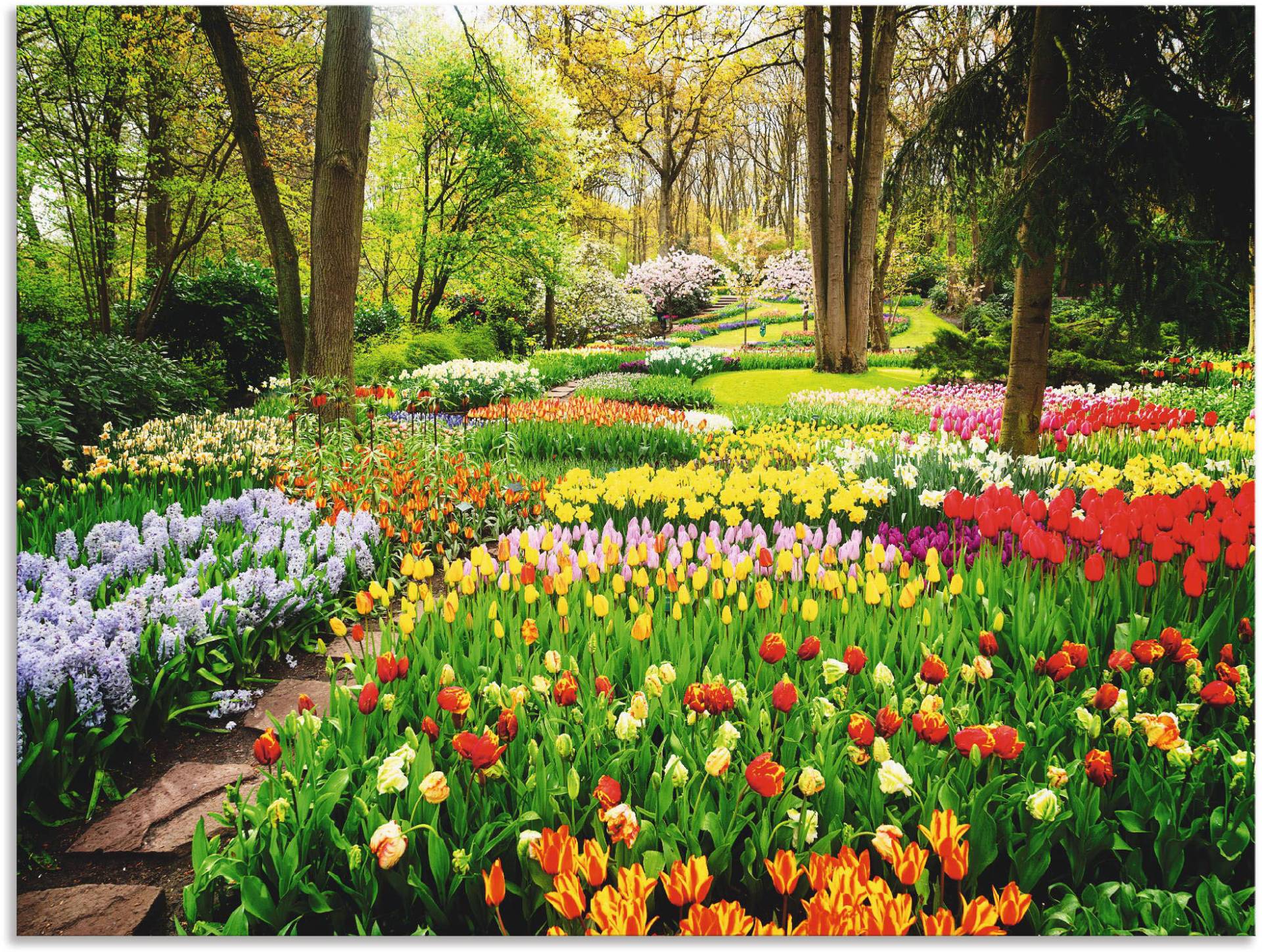 Artland Wandbild "Tulpen Garten Frühling", Blumenwiese, (1 St.), als Alubild, Outdoorbild, Leinwandbild, Poster, Wandaufkleber von Artland