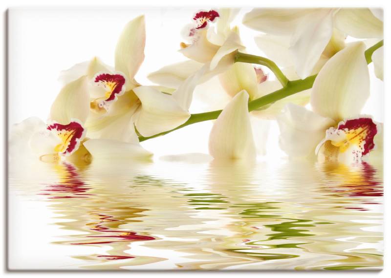 Artland Wandbild "Weiße Orchidee mit Wasserreflektion" Blumen 1 Stk. tlg. als Leinwandbild, Poster in verschied. Größen von Artland