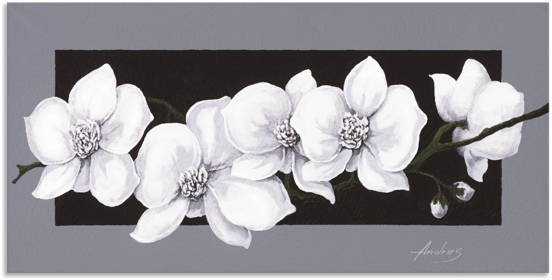 Artland Wandbild "Weiße Orchideen auf grau", Blumen, (1 St.), als Alubild, Outdoorbild, Leinwandbild, Poster, Wandaufkleber von Artland