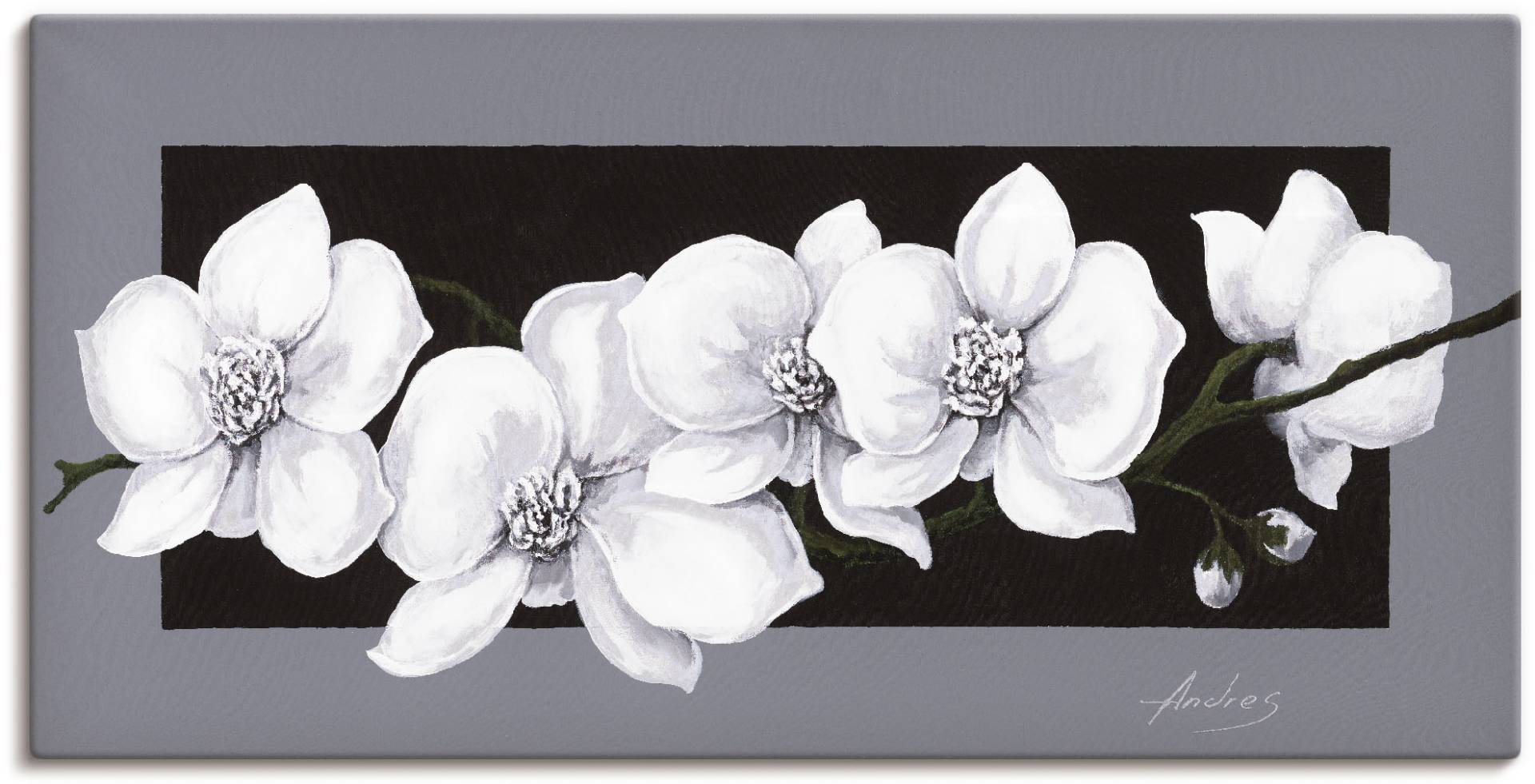 Artland Wandbild "Weiße Orchideen auf grau", Blumen, (1 St.), als Alubild, Outdoorbild, Leinwandbild, Poster, Wandaufkleber von Artland