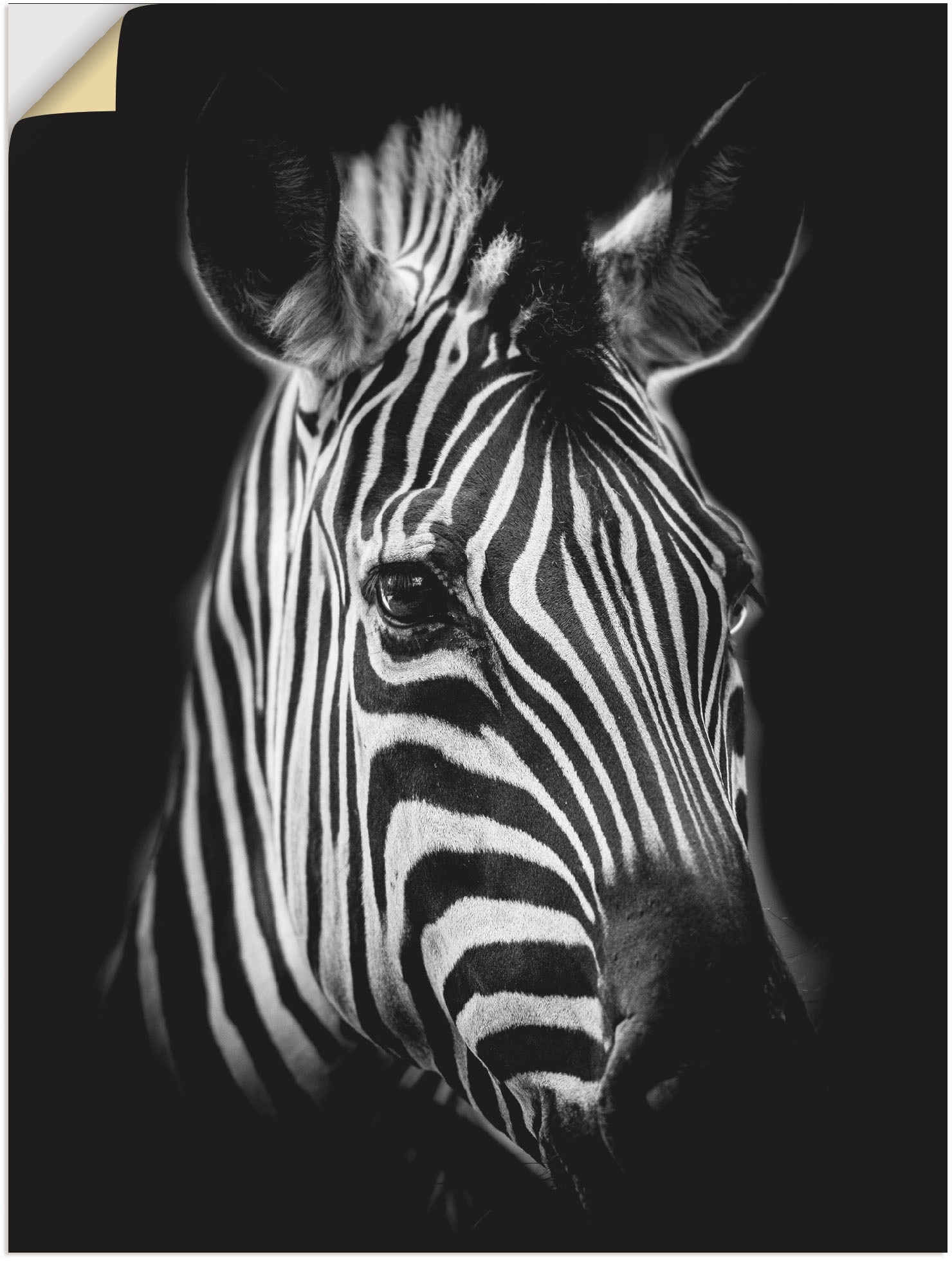 Artland Wandbild "Zebra", Zebra Bilder, (1 St.) von Artland