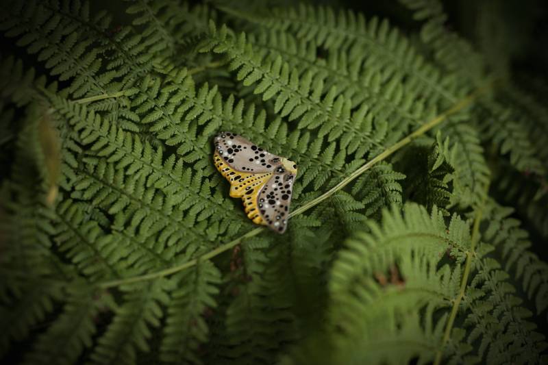 Uniqe Nachtfalter Brosche in Gelb von Artmarium