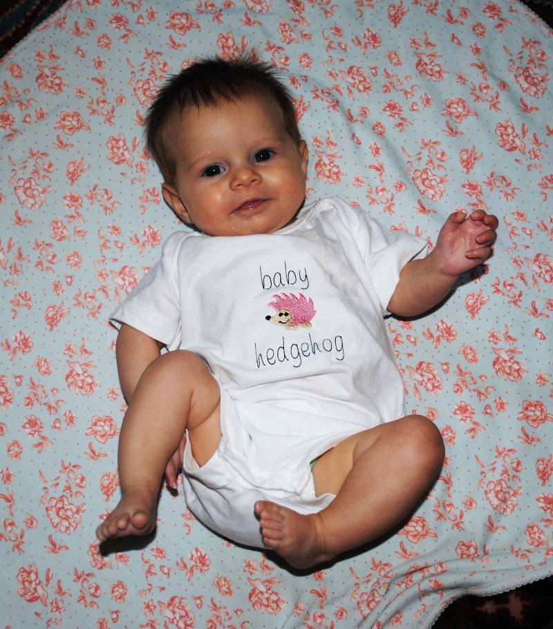 Rosa Oder Blaue Baby Igel Bestickt Strampler - Baby-Body in Rosa Blau Für Babymädchen Jungen Unisex Baby-Geschenk von ArtzyEmbroideryKids