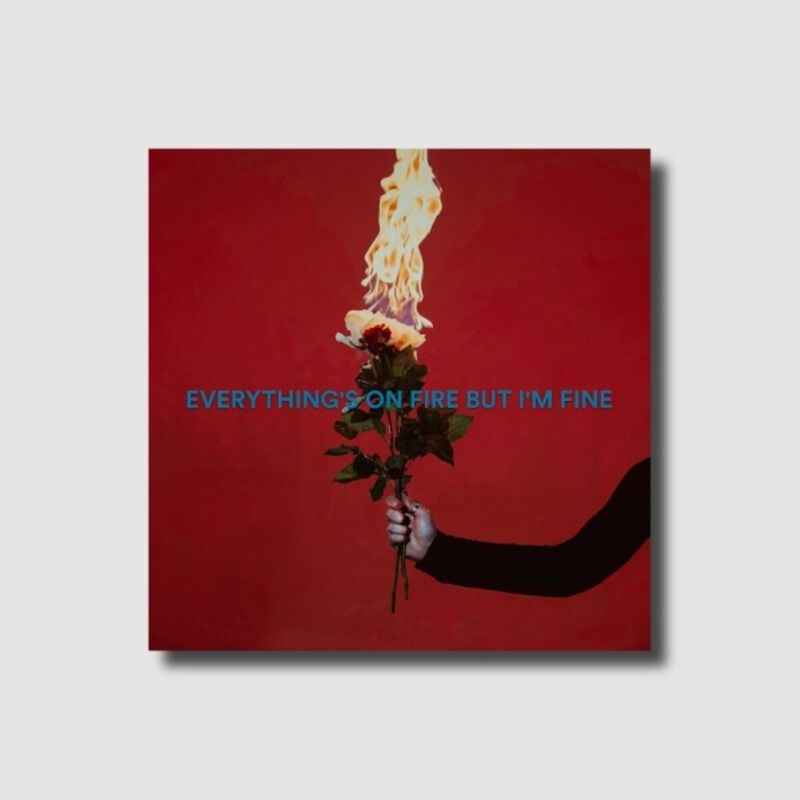 As December Falls Everything's On Fire But I'm Fine (Ltd. Deluxe CD) CD multicolor von As December Falls