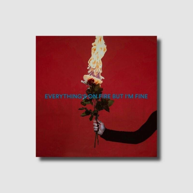 As December Falls Everything's On Fire But I'm Fine (Ltd. Deluxe CD) CD multicolor von As December Falls
