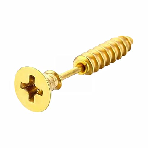 Silber Ohrringe Damen 925 Ohrringe Mädchen Ohrstecker Edelstahl Schraubohrstecker Ohrring Piercing Schmuck Ohrstecker (Gold, One Size) von Ashleyzj