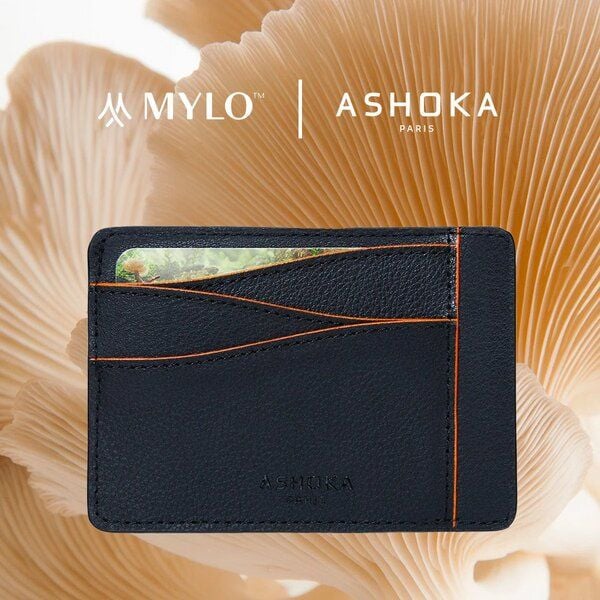 Ashoka Paris Großes Kartenetui aus Pilzleder Mylo Orange von Ashoka Paris