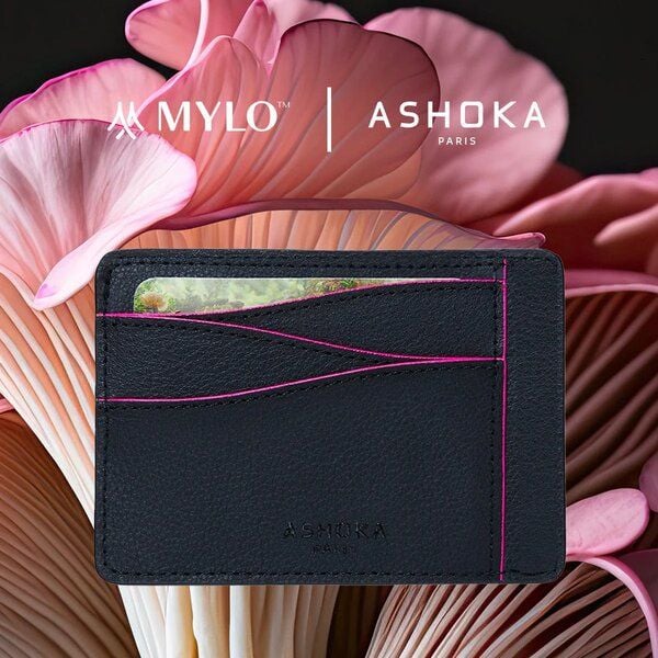 Ashoka Paris Großes Kartenetui aus Pilzleder Mylo Rosa von Ashoka Paris