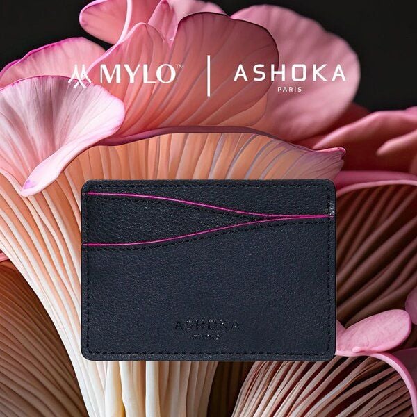 Ashoka Paris Kartenetui aus Pilzleder Mylo Rosa von Ashoka Paris