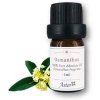 Aster Aroma - 100% Pure Absolute Oil Osmanthus Fragrans 5ml Aster Aroma - 100% Pure Absolute Oil Osmanthus Fragrans 5ml von Aster Aroma