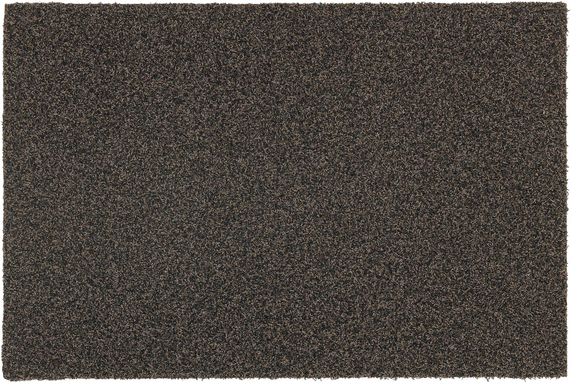 ASTRA Fußmatte "Brush Line 240" rechteckig 11 mm Höhe Türmatte, Schmutzfangmatte, In -und Outdoor geeignet von Astra