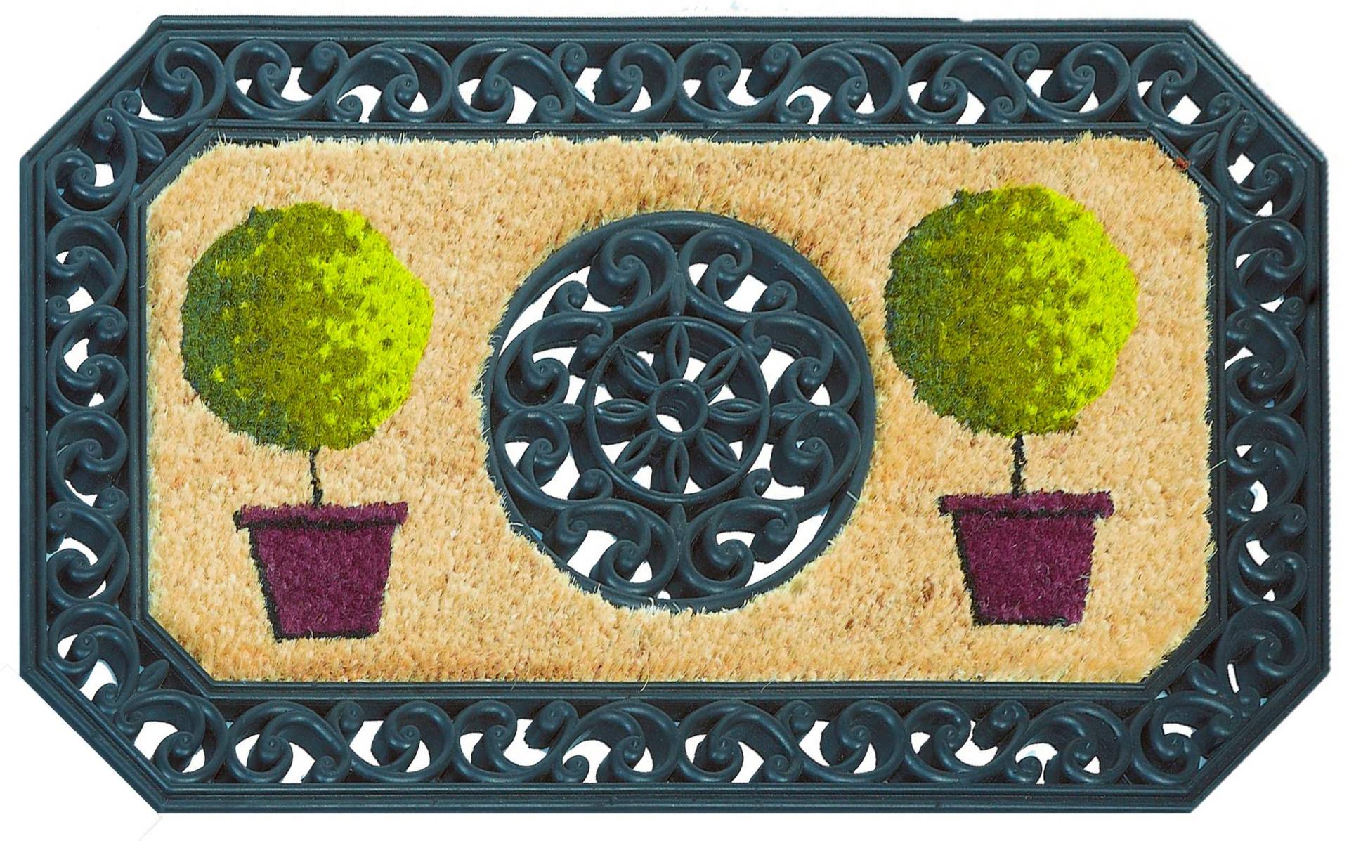 ASTRA Fußmatte "Coco Twin 3" rechteckig 13 mm Höhe Schmutzfangmatte, Kokosmatte, Gusseisen Optik von Astra