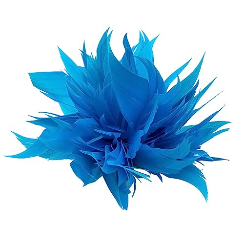 Feder Brosche,Asudaro Feder Brosche Federkorsage Feder-Kopfbedeckung Feder-Haarschmuck Feder Anstecknadeln Für Damen Und Herren Für Kostümanzüge, Brusttasche, Hut, Tasche, Dekoration Hellblau von Asudaro